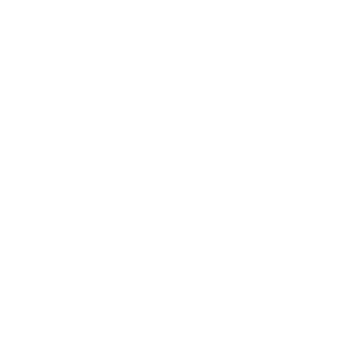 twitch icon